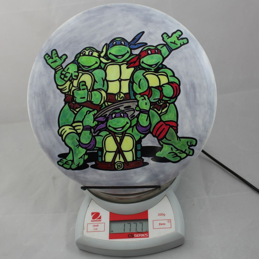 Star Roc3, Ninja Turtles • Marshall Street Disc Golf