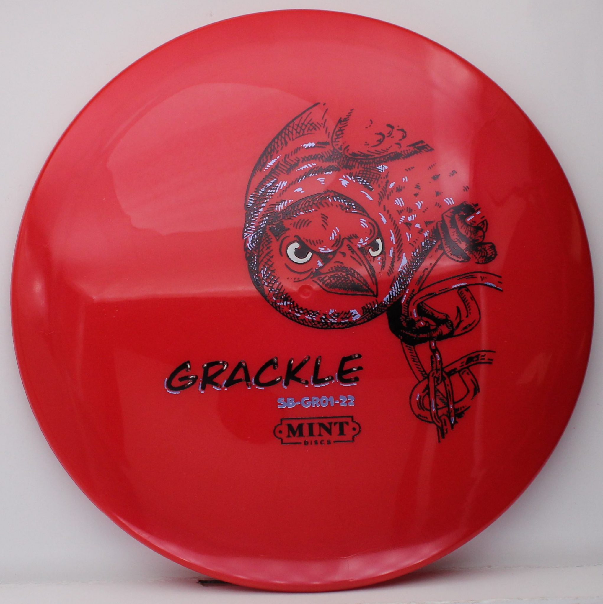 Marshall Street Disc Golf Pro Shop