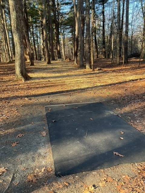 Disc Golf Hole