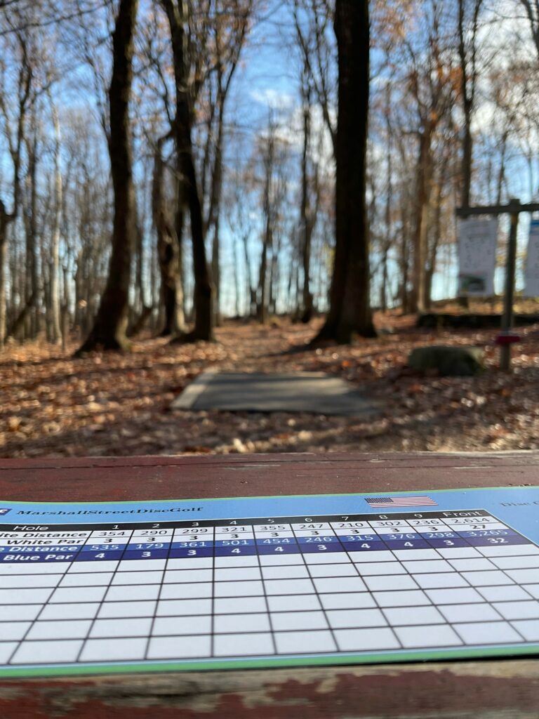 Scoring and Penalty Disc Golf Terms